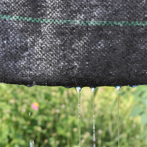 Rollo de <span class=keywords><strong>tela</strong></span> UV de estabilización Cubierta de suelo agrícola Planta de <span class=keywords><strong>vivero</strong></span> Membrana de control de malezas Tapete de malezas tejido de PP negro - Product Image 4