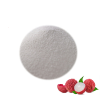Poudre de jus de fruit Rainbow Supply, poudre de litchi/litchi en poudre/poudre de litchi lyophilisée de la meilleure qualité