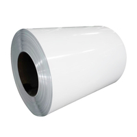 KW acier multi-usages double revêtement PPGI peinture en rouleau de métal peint en couleur zinc galvanisé pour tôle de toiture de construction