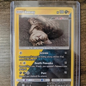 Vente en gros Étui pour cartes à collectionner en plastique dur 3x4 avec chargeur par le haut Pochettes pour cartes 35Pt pour joueurs de baseball, de football et de basket-ball - Product Image 4
