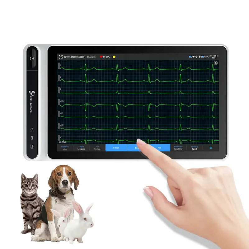Échocardiogramme portable pour chiens, portable, portable, pour animaux de compagnie, moniteur Ecg canin