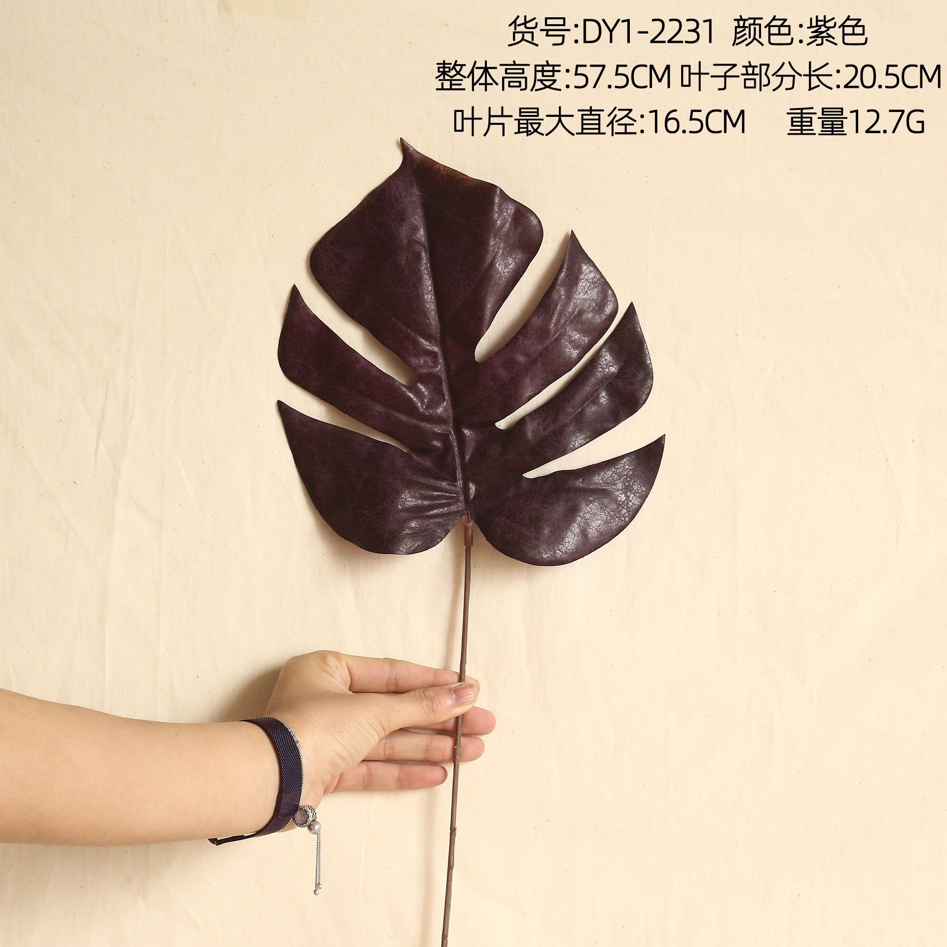 DY1-2231 Violet