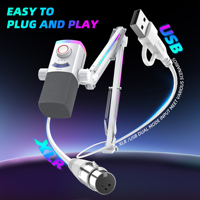Micrófono de Grabación Dinámico XLR/USB FIFINE AM8 PROT RGB con Brazo Articulado Ajustable para Juegos y Streaming, Micrófono Gamer