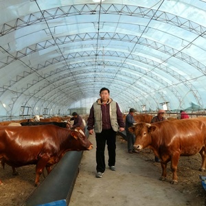 Sheep Feeding Trough and <strong>Hay</strong> <strong>Rack</strong>, Galvanized Steel Design for Group Feeding Management - Product Image 5
