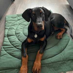 Esteras para perros de buena calidad, cama cálida de algodón suave para perros, gatos, mascotas, esteras para dormir de viaje - Product Image 5