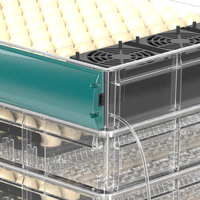 Incubateur d'œufs automatique à prix d'usine, machine à couver 160 œufs de poule, neuve en PP pour oiseaux, oies, canards, pigeons, cailles, taux d'éclosion de 98%