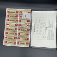 Dents en Résine Acrylique Dentaire Multicouches OEM pour Prothèses Dentaires