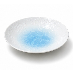 จานเซรามิกเคลือบสีขาวสไตล์ญี่ปุ่นคลาสสิกสำหรับอาหารเรียกน้ำย่อยในร้านอาหาร - Product Image 1