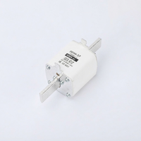 Fusible à lame NT00C, fusible HRC, 63A, 500V AC, capacité de coupure 120kA, certifié IEC 60269, corps en céramique, puissance industrielle