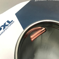 Câble audio plat en cuivre OFC transparent 2 conducteurs CCA (copper-clad aluminum) 2x2,5mm² pour enceintes Hi-Fi