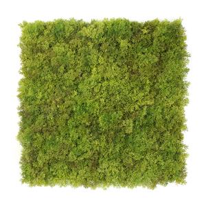 <span class=keywords><strong>Tapis</strong></span> d'herbe artificielle SUNWING 50x50cm, écologique, imperméable, <span class=keywords><strong>vert</strong></span>, pour la décoration intérieure/extérieure, en plastique - Product Image 6