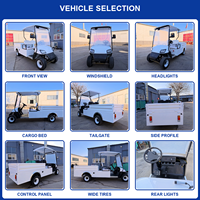 Chariot de golf électrique personnalisé avec benne de chargement, 2 places, chariot utilitaire, benne basculante hydraulique automatique, chariot de golf avec boîte de chargement
