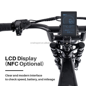 20 Zoll Elektro-Fatbike Mountainbike mit Vollfederung E-Bike Elektrofahrrad - Product Image 5