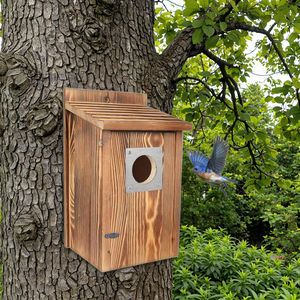 Sağlam kömürleşmiş ahşap yuvalama kutusu açık-uygun ev dekor kuş evi - Product Image 4