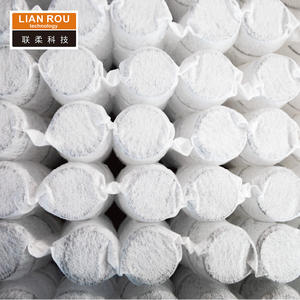 Resorte Interior Individual Curvo Personalizado para Cama Plegable Vertical, Sofá Cama Eléctrico Moderno con Colchón Individual o Doble - Product Image 4