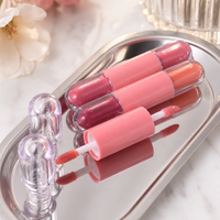 Tubes de gloss à lèvres en capsule, fini liquide mat, couleurs rose, transparent, rose baie, corail, avec applicateurs floqués, format voyage, vente en gros, personnalisable