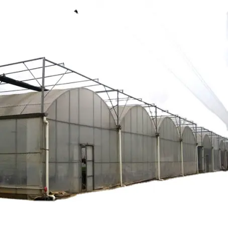 FM Dome cà chua nhựa màu xanh lá cây nhà rèn sắt nông nghiệp đa-span thụ động năng lượng mặt trời nhà kính Israel để bán