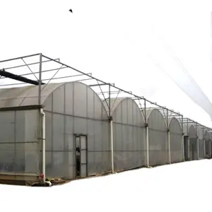 FM cúpula tomate plástico casa verde ferro forjado agrícola multi-span passiva solar estufas israel para venda