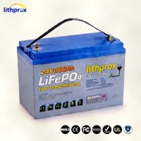Batterie industrielle LFP 24V 300Ah LiFePO4 Lithium LiFePO4 pour chariot élévateur à bras télescopique RoHS CE UN38.3 FCC OEM ODM Remplacement direct