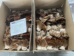 Teint rouge lâche Hackle poulet <span class=keywords><strong>coq</strong></span> <span class=keywords><strong>plume</strong></span> <span class=keywords><strong>pour</strong></span> artisanat bricolage mouche attachant carnaval <span class=keywords><strong>cheveux</strong></span> boucle d'oreille accessoire robes couture - Product Image 3