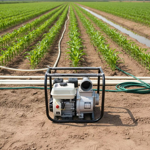 Bomba de Agua de Metal de Alta Calidad y Alto Flujo para Motor de Gasolina, 3 Pulgadas, Alta Presión, para Riego Agrícola y de Jardinería - Product Image 2