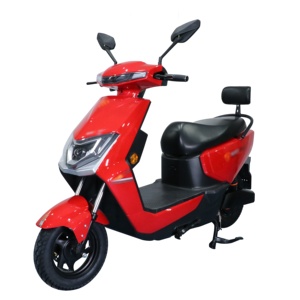 Bicicleta Eléctrica para Adultos 2025 con Motor sin Escobillas de 1000w, Batería de Plomo-Ácido, Piezas Electrónicas Digitales Zhanshen, E-bike de 1000w - Product Image 5