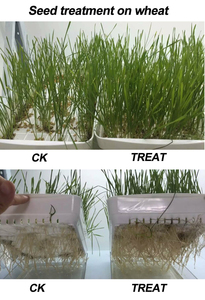 En iyi fiyat gama poliglutamik asit (PGA) -bitki büyüme uyarıcısı ve gübre katkısı - Product Image 3