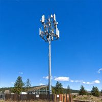 Mât d'antenne de station de télécommunications sans fil, tour de communication GSM monopôle de 30 m en acier Q355 galvanisé à chaud