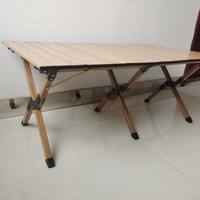 Table de pique-nique pliante en plastique, mobilier d'extérieur en feuille d'aluminium de taille moyenne
