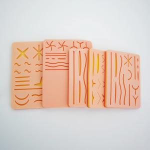 Kit de Práctica de Sutura de Silicona para Ciencias Médicas en Oferta, con Estuche de Herramientas Quirúrgicas para Entrenamiento de Enfermería - Product Image 5