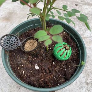 Fertilizer <b>Basket</b> Plastic Sturdy <b>Planting</b> Fertilization Box - Product Image 4