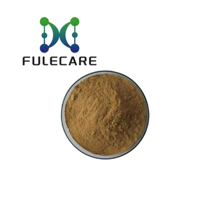 Cấp thực phẩm Mực bột đóng băng khô Mực bột - Product Image 2