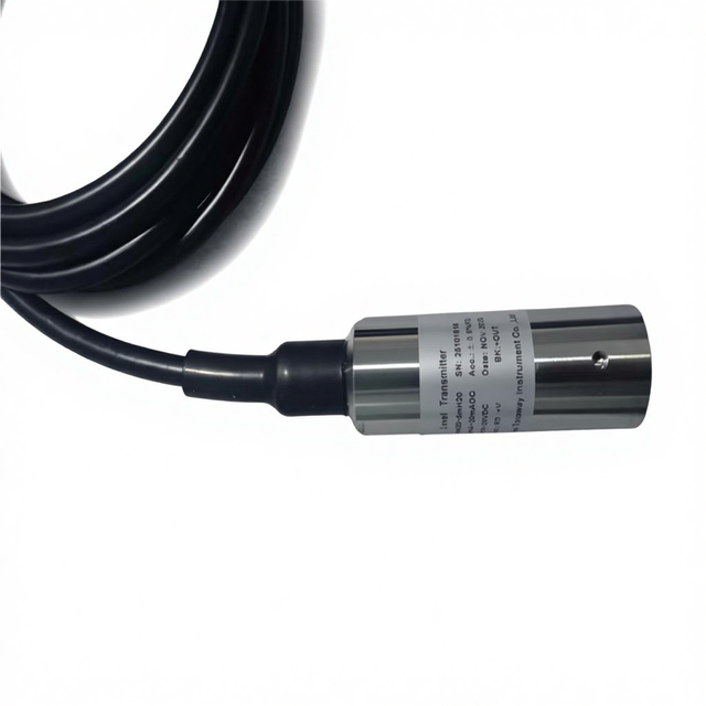 Submersible Stainless Steel Anti-corrosive Liquid Level Transmitter 0.25%FS Accuracy 0-100m Range for Diesel Tank Level Sensor
