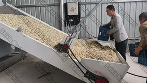 Équipement de séchage à bande transporteuse pour graines de pastèque/graines de <span class=keywords><strong>melon</strong></span> - Product Image 6