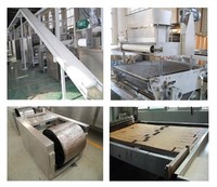 Nouvelle ligne de production de biscuits aux pépites de chocolat beurre d'arachide flocons d'avoine raisins secs Machine de traitement des aliments avec four de cuisson pour biscuits