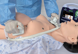 Simulateur d'entraînement en obstétrique et sage-femme : Forceps, extraction par ventouse, pratique de l'épisiotomie, mannequin pour l'éducation médicale et les soins de naissance - Product Image 4