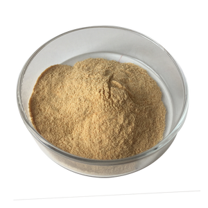 Poudre d'extrait de <span class=keywords><strong>lupin</strong></span> de haute qualité avec 98% de lupeol - Product Image 3