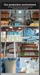 Plumes de <span class=keywords><strong>duvet</strong></span> de <span class=keywords><strong>canard</strong></span> <span class=keywords><strong>d</strong></span>'<span class=keywords><strong>oie</strong></span> grise blanche 800 Puissance de remplissage pour le matériel <span class=keywords><strong>d</strong></span>'oreiller de veste - Product Image 4