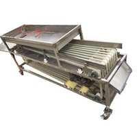 Automatische roestvrijstalen fruit- en groentesorteermachine voor noten en aardbeien met 3-7 sorteerstanden, capaciteit 1000 kg/uur