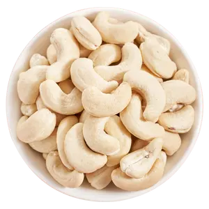WW240 WW320 WW450 Top Grade Raw Cashew Nuts Kernels