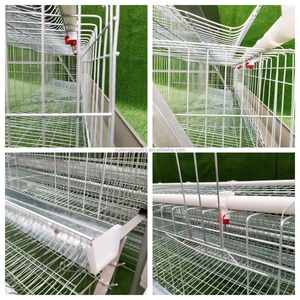 Gabbia per Galline Ovaiole a 4 Livelli Tipo A, Alta Capacità per Oltre 10.000 Uccelli, Salvaspazio, con Abbeveratoio Automatico - Product Image 4