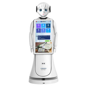 Il Servizio clienti Femminile Server Robot Humanoide per la Vendita - Product Image 1