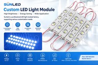 Modules LED à injection haute luminosité SMD2835 IP65 1,2W 12V Blanc chaud Garantie 2 ans pour éclairage, caissons lumineux et logos