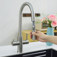 Nouveau modèle de robinet d'eau en acier inoxydable 3-en-1 avec eau bouillante instantanée