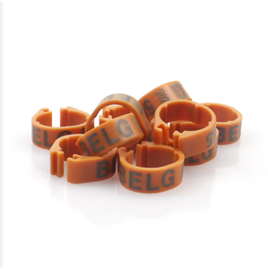 Kleurrijke Open Plastic Clip Duif Vogel Duif <span class=keywords><strong>Pha</strong></span> Ringen Voor Tortelduifjes Duif - Product Image 5