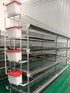 Jaula para Pollos de 4 Niveles y 2 Puertas, Galvanizada en Frío, para 96 Pollos - Product Image 2