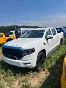 Le moteur diesel Foton 4x4, camionnette à double cabine à conduite à gauche Mars V9 et fourgonnette compacte - Product Image 5