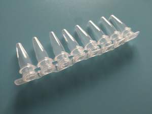 Tubos de Microcentrífuga/PCR de Plástico <span class=keywords><strong>PP</strong></span> Transparente para Laboratório, E.O. Estéreis, Ópticos, 0.2ml, 0.5ml, <span class=keywords><strong>1.5ml</strong></span>, 2ml, 8-Strip, Personalizáveis - Product Image 2