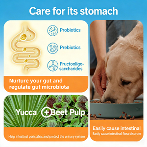 Aliments secs pour chiens <span class=keywords><strong>sans</strong></span> <span class=keywords><strong>céréales</strong></span> en sac de 2 kg, directement de l'usine, avec recette à base de viande pour améliorer la santé et la vitalité de votre animal. - Product Image 5