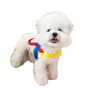 Arnés y Correa para Mascotas con Bloques de Color, Ajustable para Perros Pequeños, Chaleco para Pasear - Product Image 5